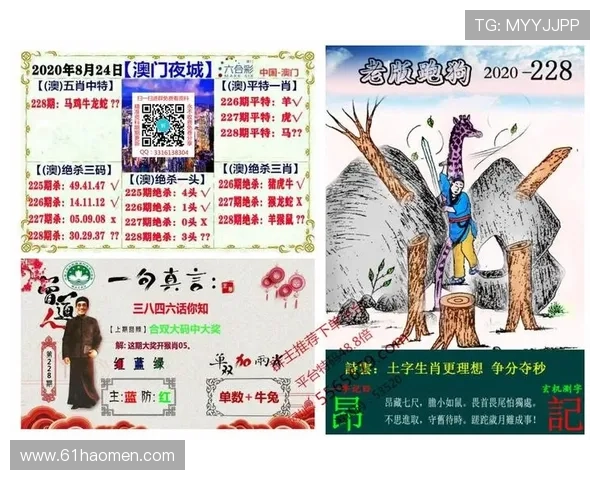 澳门新彩网官方网站免费下载：畅享最新彩票资讯与便捷服务